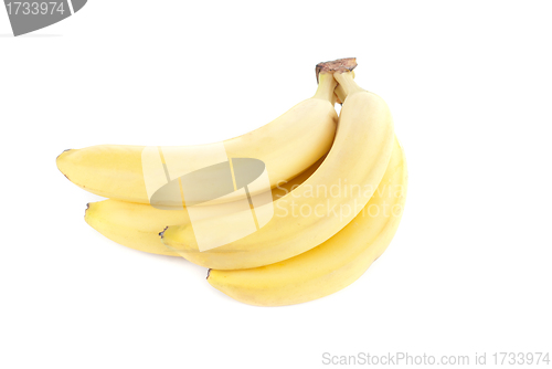 Image of Bananas set