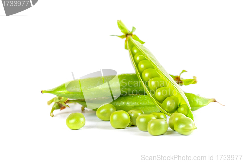 Image of Ripe pea