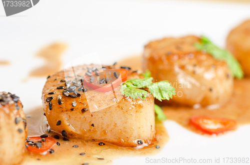 Image of Scallop
