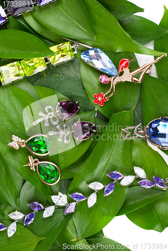 Image of Jewelry at green leaves