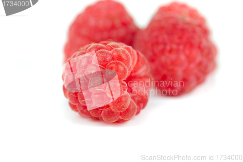 Image of fresh raspberry