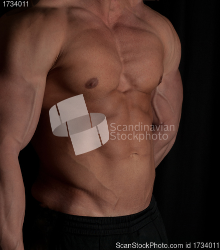 Image of bodybuilder