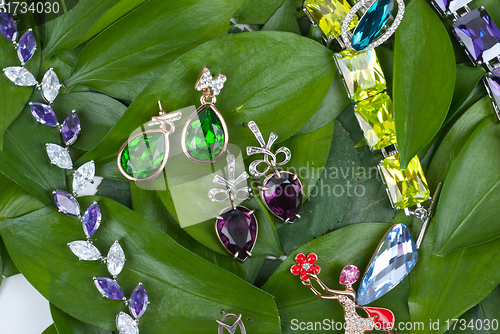 Image of Jewelry at green leaves