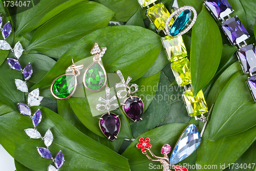 Image of Jewelry at green leaves