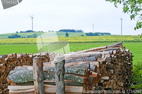 Image of fuel-wood and wind-wheels