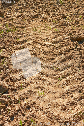 Image of Tractor wheels dried traces