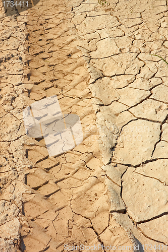 Image of Dried wheels traces