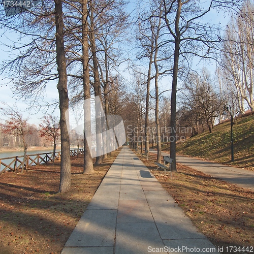 Image of Path among trees