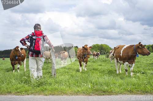 Image of Hiker Standing By A Countryside Farmland