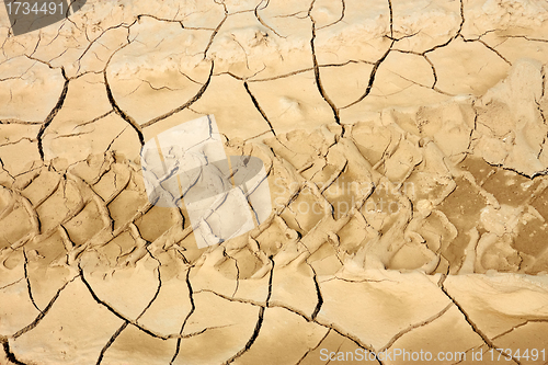 Image of Wheels traces on dried soil