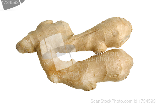 Image of ginger root