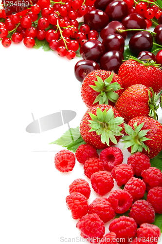Image of Mix of summer berries.