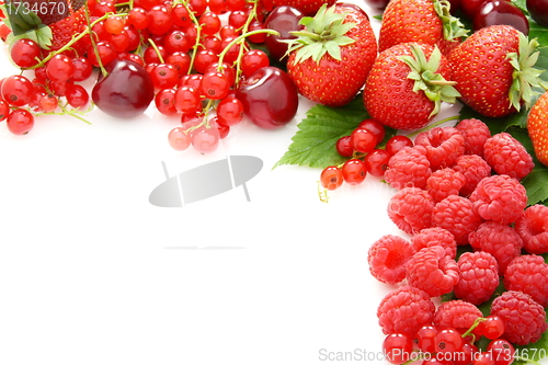 Image of Mix of fresh summer berries. 