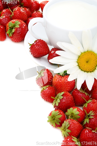 Image of Ripe strawberries, cup of cream and chamomile.