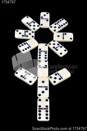 Image of Domino isolated on a black background