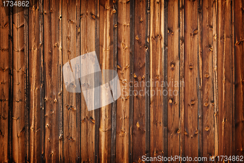 Image of Old larch boards - grunge background