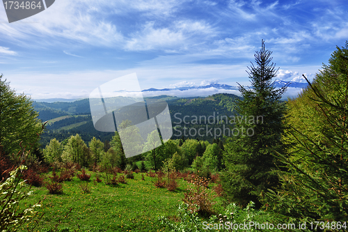 Image of Beautiful mountain landscape - Carpathians