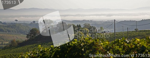 Image of Morning in Tuscany