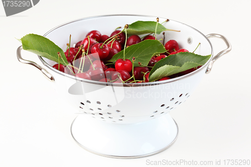 Image of Cherry