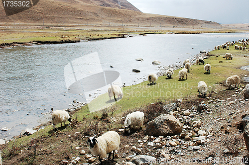 Image of Landscape in Tibet