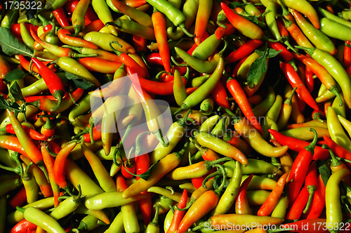 Image of Pile of fresh pepper