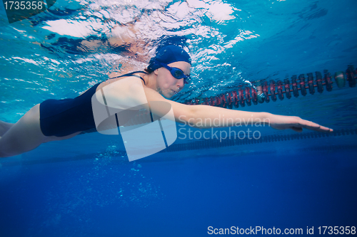 Image of Sportsman woman swimming in crawl (stroke) style