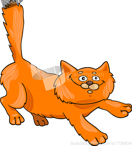 Image of running red fluffy cat