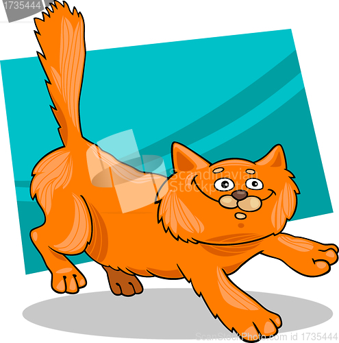 Image of running red fluffy cat