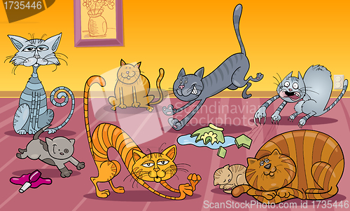 Image of many cats at home