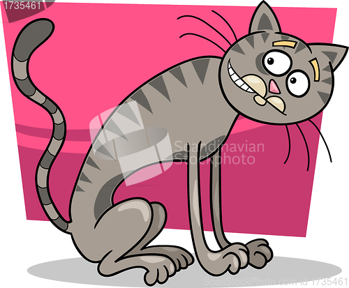 Image of thin gray tabby cat