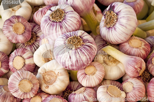 Image of garlic