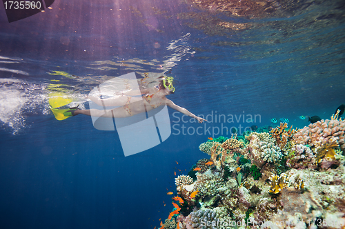 Image of Woman scuba diver pointing to corals