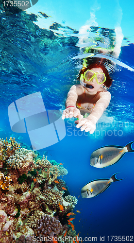 Image of swimming with the fishes