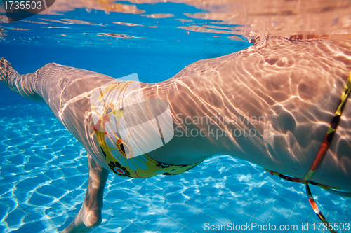 Image of Woman's swimmer body