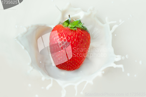 Image of Strawberry splash in the milk