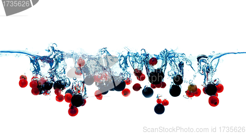 Image of Lot's of currants red and white berries falling into water