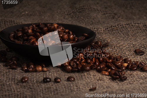 Image of Coffee crops on the plate