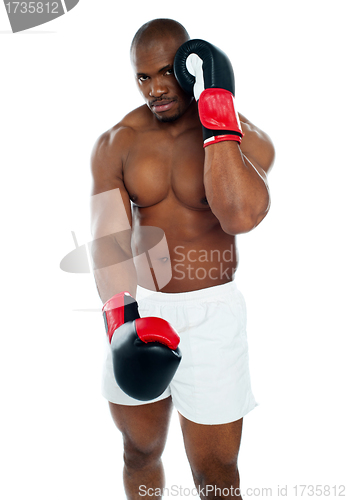 Image of Male boxer in a defensive stance