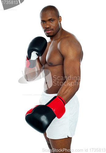 Image of I am a boxer. Common face me