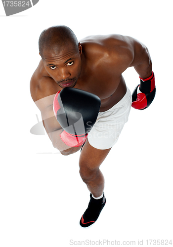 Image of Portrait of aggressive male boxer