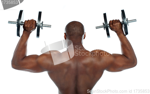 Image of Rear view of a young male bodybuilder