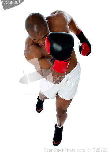 Image of A black african athletic boxer with boxing gloves