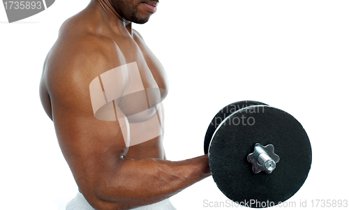 Image of Cropped image of a bodybuilder exercising
