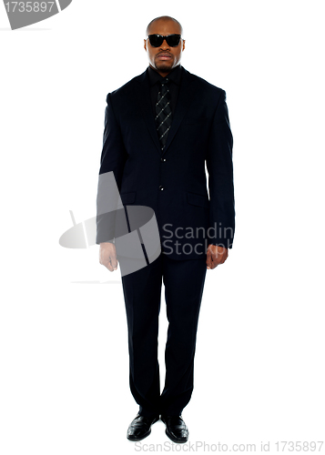 Image of Handsome african businessman. Full-length portrait