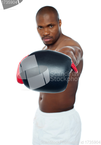 Image of Feel the punch. African boxer