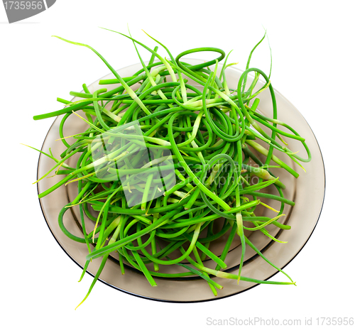 Image of Fresh garlic scapes on plate