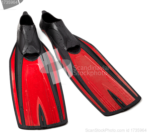 Image of Swim fins on white background