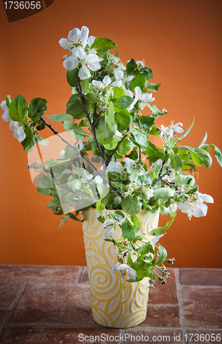 Image of Beautiful ripe apples and branches of a blossoming apple-tree in