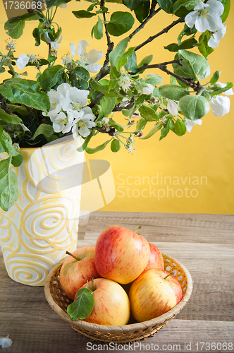 Image of Beautiful ripe apples and branches of a blossoming apple-tree in