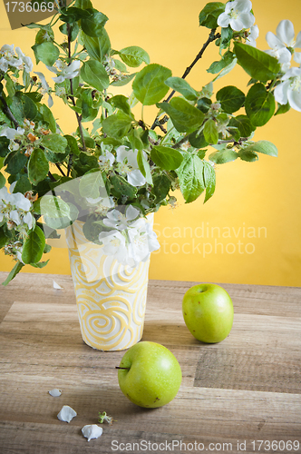 Image of Beautiful ripe apples and branches of a blossoming apple-tree in